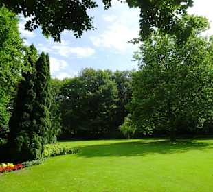Hochsommer im Kurpark Bruchhausen-Vilsen