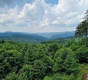 Wandern Friedrichroda