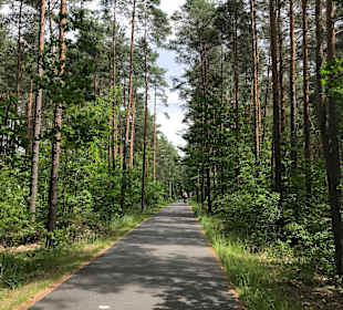 Waldspaziergang Senftenberg