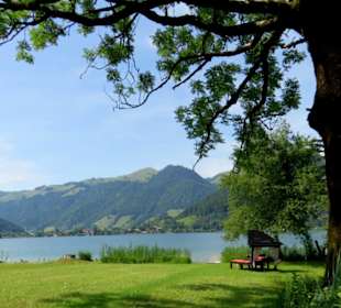 Schattiger Platz am Walchsee