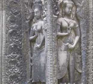 Und immer wieder kalte Schöne