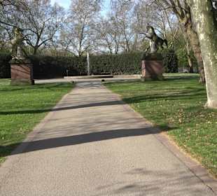 Historische Platanenallee im Unteren Schloßgarten
