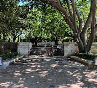 Altstadt Palma de Mallorca