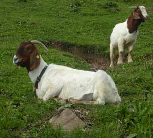 Lengsteiner Rundwanderweg
