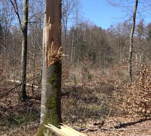 Geschichtlicher Lehrpfad Einsiedel