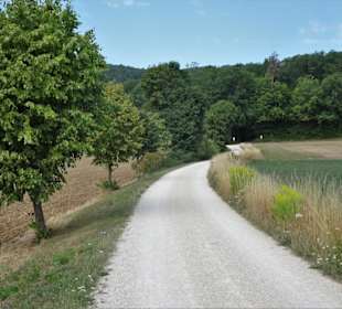 Auf dem Nothelferweg nach Vierzehnheiligen