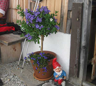Brandstätthüte