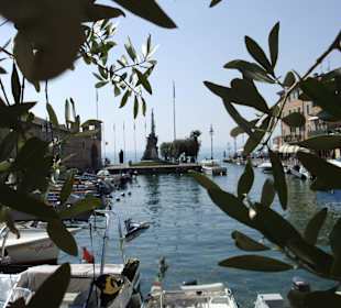 Lazise