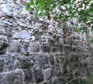 Burgruine Niederhaus