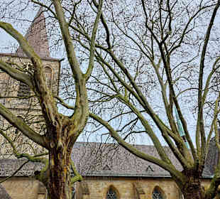 Propsteikirche Sankt Peter und Paul