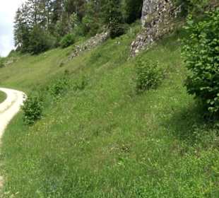 Tiefental Aichstetten