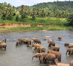 Badespaß im Maha Oya