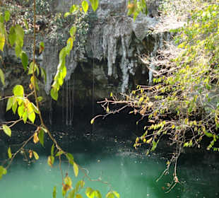 Anblick der einige Gäste Rückzieher machen lassen