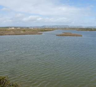 Salinen von Faro: Wanderung bei den Salinen