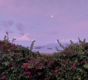 Blick auf Bali