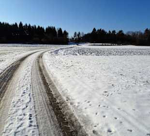 Weg vom Hohlen Stein zum Kemitzenstein