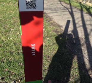 Wanderung Florianrunde