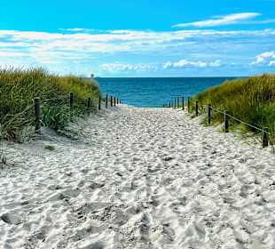 Strand Ahrenshoop