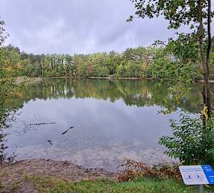Untere Allerniederung bei Boye 