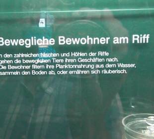 Meeresmuseum Stralsund