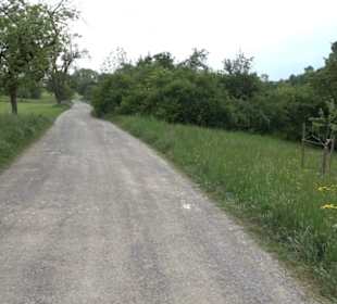 Naturinfopfad Weggental