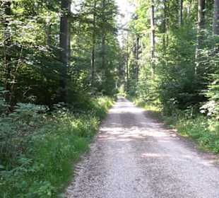 Waldlehrpfad St. Johann