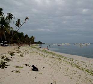 Strand (Alona Beach)