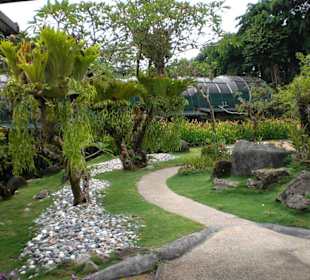 Hibiskus- und Orchideenpark