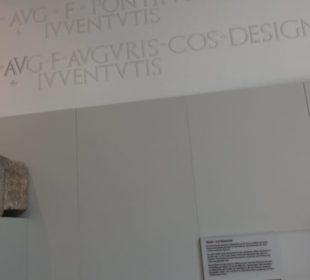 Rheinisches Landesmuseum 