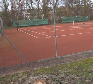Tennisplatz Neckarhausen