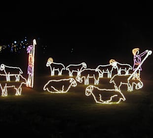 Magic Christmas in Lights