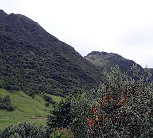 Rundweg „La Isla“ Path