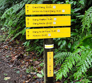 Der Wegweiser zum Grand Etang