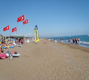 Strand