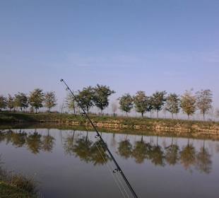 Tranquility and spinning rod
