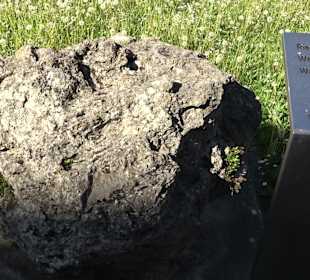 Geologischer Lehrgarten