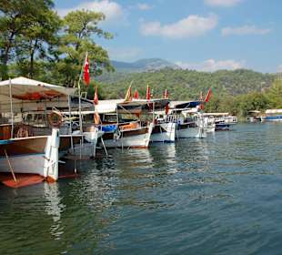 Dalyan