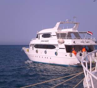 Das Schiff bei der Delphin-Tour!