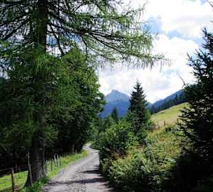 Der Weg zum Grünsee
