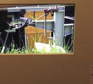 Heimatschutzzentrum in der Villa Patumbah