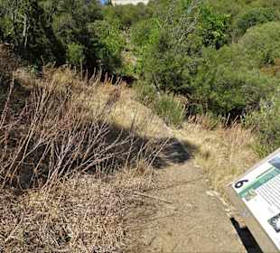 Wege durch den Jardin Méditerranéen