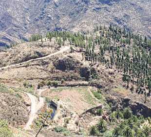 Wandern Playa del Ingles