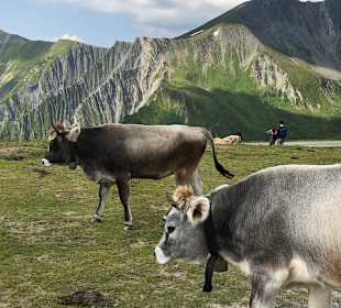 Wandern in Serfaus-Fiss-Ladis 