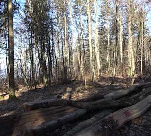 Wanderroute Drei Berge Tour Willmandingen