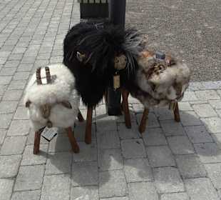 Stadtrundgang Balingen