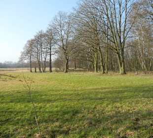 Wunderschöne Boberger Niederung