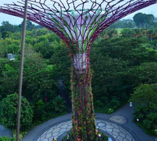 Gardens by the Bay