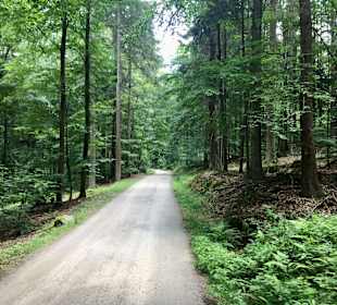 Wandern Bad Kötzting