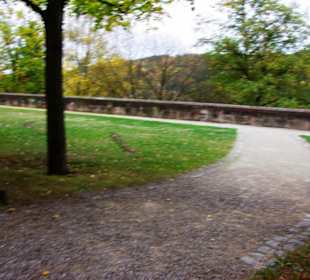 Breite Wehrmauern