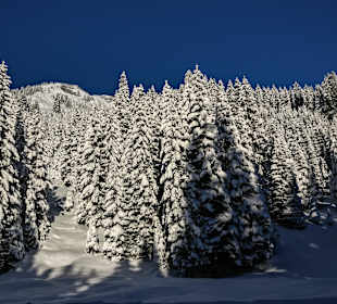 Skigebiet Arlberg Lech Zürs
